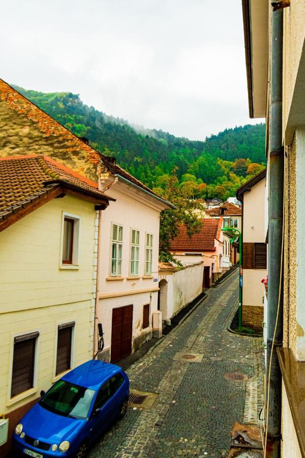 Ardor Apt - Bright And Secluded Apartment In The Heart Of Old Town Braşov Buitenkant foto